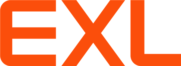 ExlService Holdings, Inc. stock logo