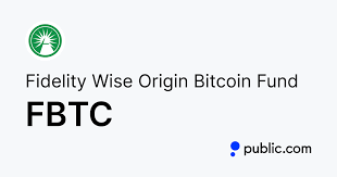 Fidelity Wise Origin Bitcoin Fund stock logo