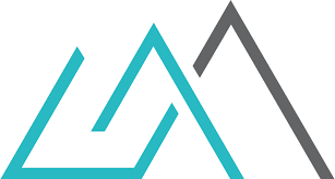 GraniteShares 1.25X Long TSLA Daily ETF stock logo