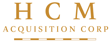 Terrestrial Energy logo