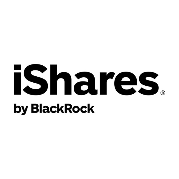 iShares MSCI ACWI ex U.S. ETF stock logo