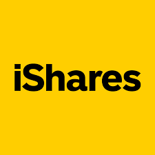 iShares MSCI Brazil Small-Cap ETF stock logo