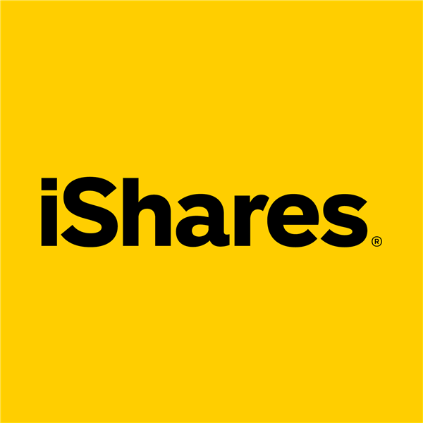 iShares MSCI India ETF stock logo