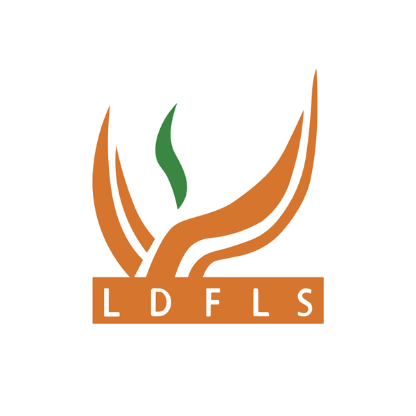Lixiang Education Holding Co., Ltd. Sponsored ADR stock logo