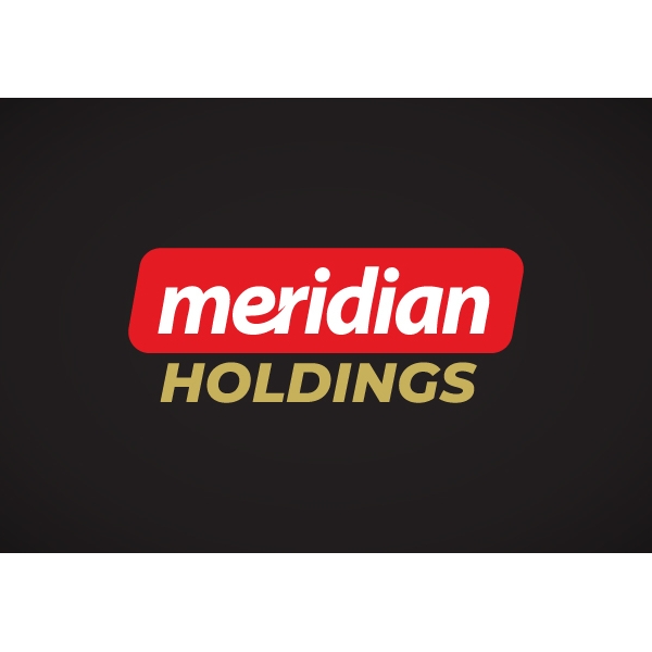 Meridian Holdings Inc. stock logo