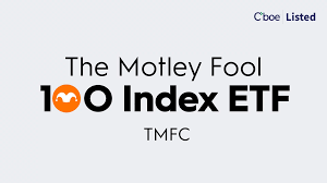 Motley Fool 100 Index ETF stock logo