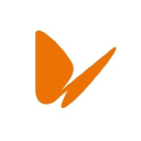 Naturgy Energy Group, S.A. stock logo