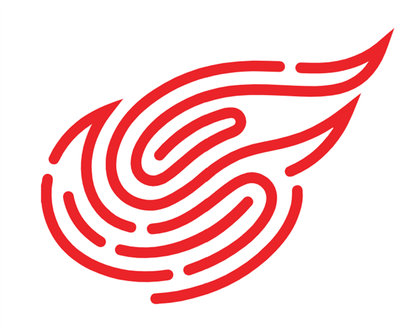 NetEase, Inc. stock logo
