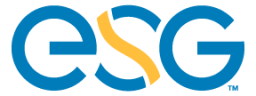 New Energy Systems Group.