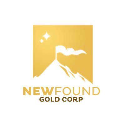 New Found Gold Corp. stock logo