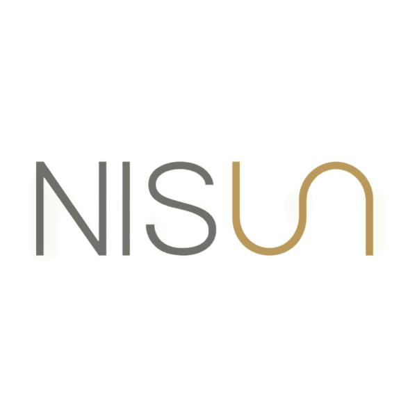 Nisun International Enterprise Development Group Co., Ltd stock logo