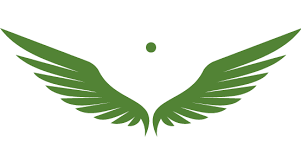 Noram Lithium Corp. stock logo