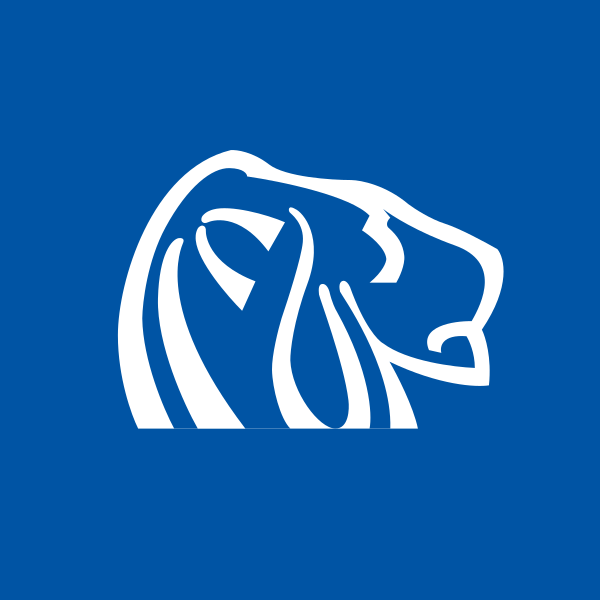 Northern Dynasty Minerals, Ltd. stock logo
