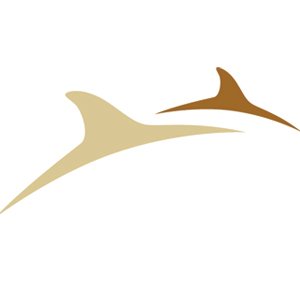 NorthIsle Copper and Gold Inc. stock logo