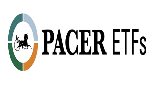 Pacer US Small Cap Cash Cows ETF stock logo