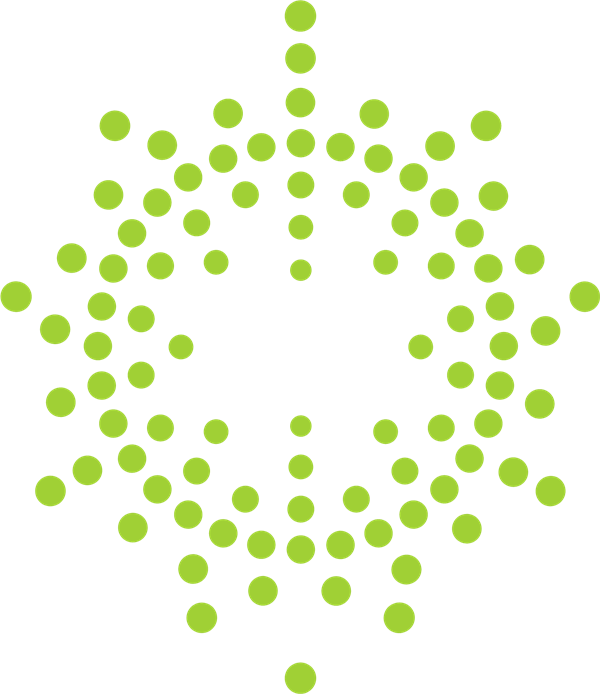 Paladin Energy Ltd. stock logo