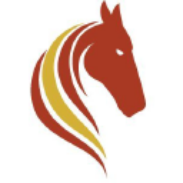 Pasofino Gold Limited stock logo