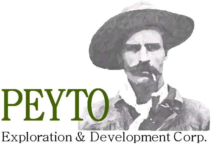 Peyto Exploration & Development Corp. stock logo