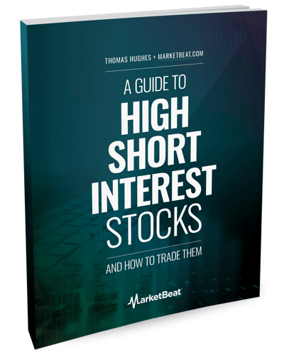 A Guide To High-Short-Interest Stocks Cover