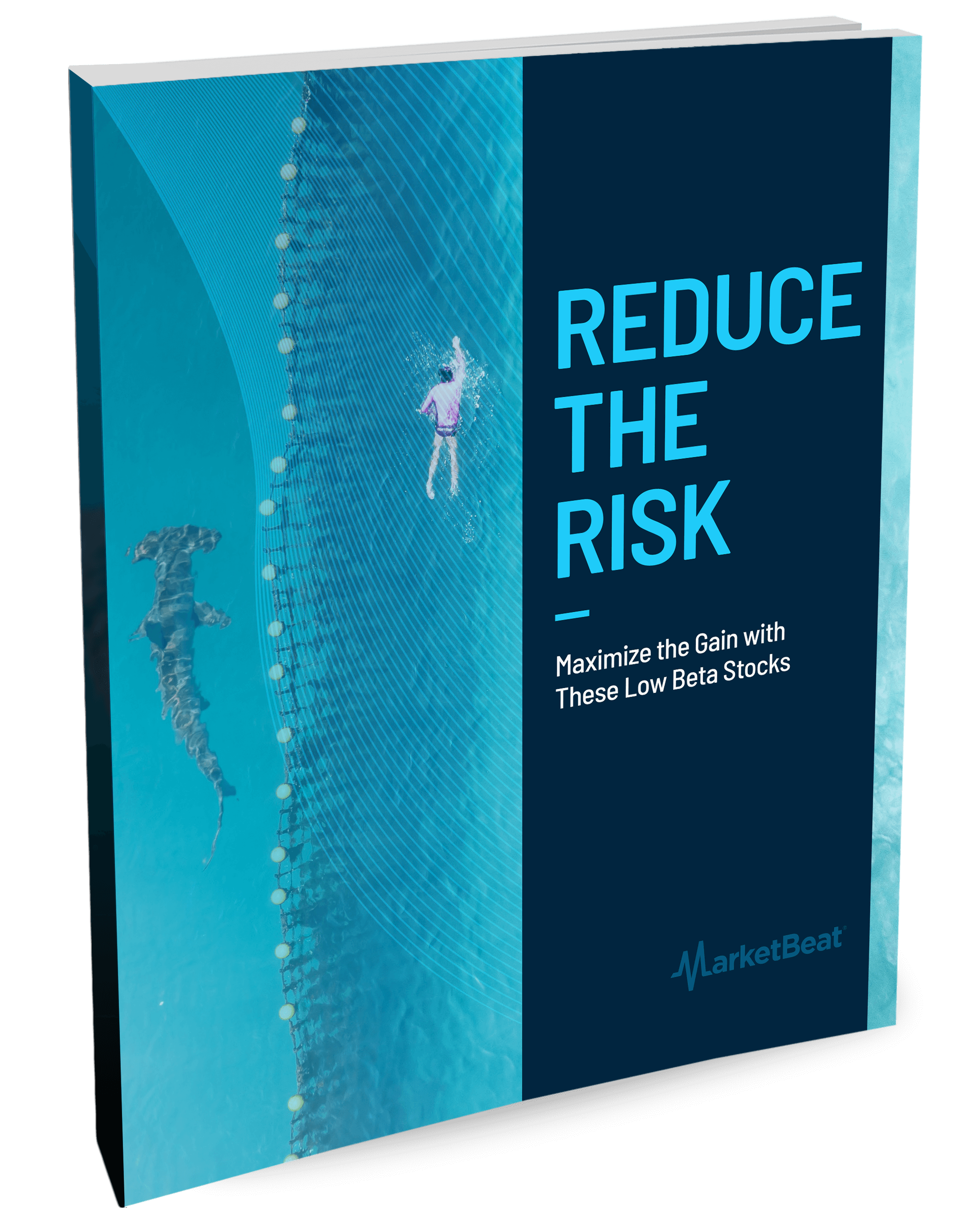 Reduce the Risk Cover
