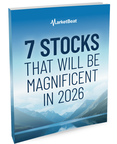 7 Stocks That Will Be Magnificent in 2026 Cover
