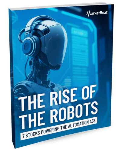 The Rise of the Robots Cover