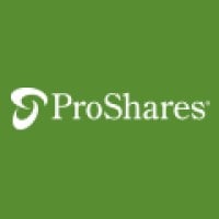 ProShares Short SmallCap600 stock logo