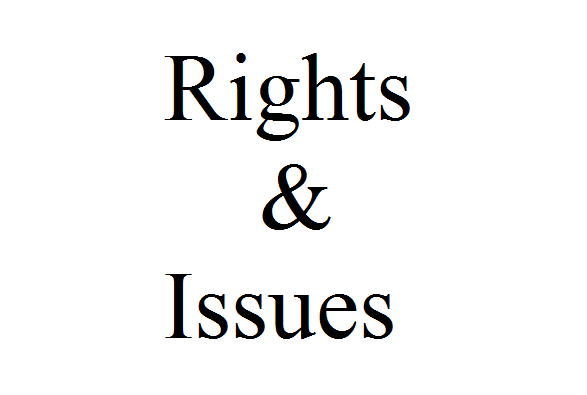 Rights & Issues Investment Trust