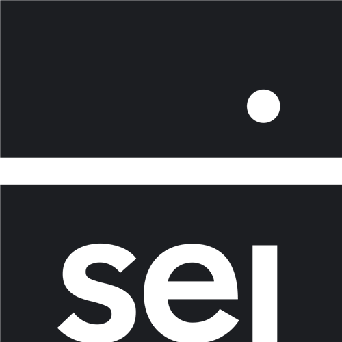 SEI Enhanced U.S. Large Cap Value Factor ETF stock logo