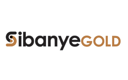 Sibanye Gold Ltd stock logo