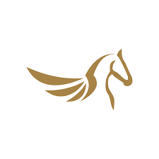 Silver Pegasus Acquisition