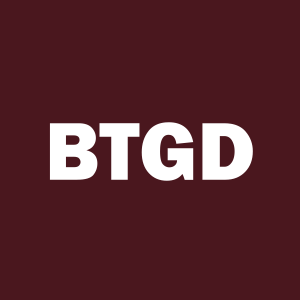 STKD Bitcoin & Gold ETF stock logo