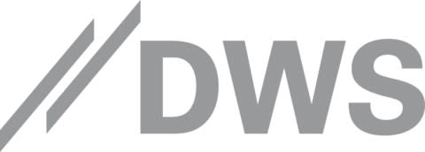 The Central and Eastern Europe Fund, Inc. stock logo