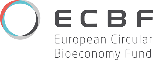 The European Equity Fund, Inc. stock logo