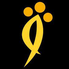 The9 Limited stock logo