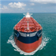 2020 Bulkers logo