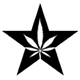 American Green logo