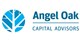 Angel Oak Financial Strategies Income Term Trust stock logo