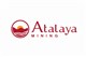 Benchmark logo