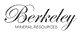 BMR Group logo