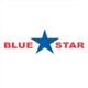 Blue Star Foods logo