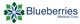 Blueberries Medical logo