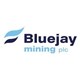 Bluejay Mining logo