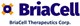 BriaCell Therapeutics Corp. stock logo
