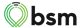 BSM Technologies logo