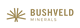 Bushveld Minerals logo