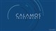 Calamos Nasdaq Equity & Income ETF logo