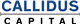 Callidus Capital logo