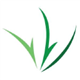 Cannasys logo