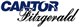 Cantor Equity Partners II logo